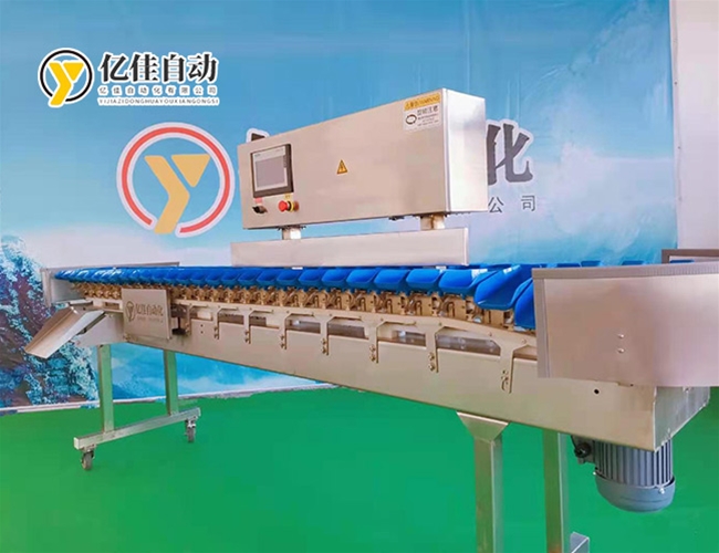 水果自動分選機